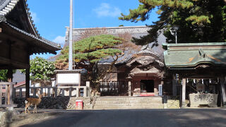 金華山