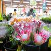 今回は生花のみがお買い得でした？　～　ＪＡ産直所 紀菜柑