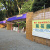 秋の大祭、菊花展に行きました
