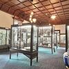 陶磁器の展示が見事です