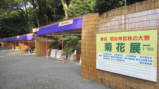 明治神宮 秋の大祭