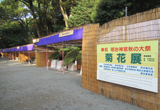 明治神宮 秋の大祭