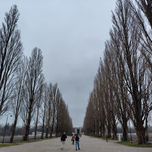 礼拝堂に続く一本道