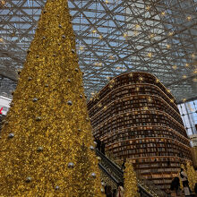 電飾ツリーと書棚