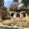 入園料無料