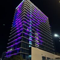 夜はムラサキに光ります&#11088;︎