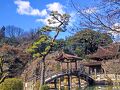 永保寺庭園