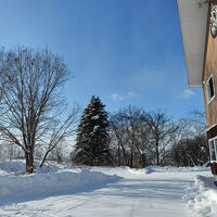 スキーシーズン真っ盛り　雪深いです