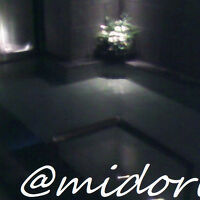 朝も入りました&#9832;&#10024;