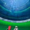 アクセスしやすい場所、コンパクトな水族館
