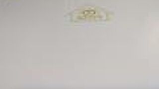 正月なのでお休みでした