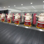 年末年始を中部国際空港・セントレアで過ごした（空港野宿）
