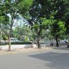 細長い面積の公園