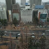 雪がパラパラと