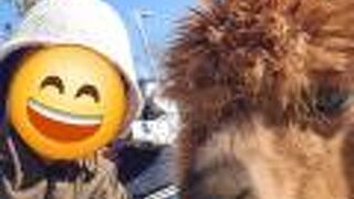 霞ケ浦 どうぶつとみんなのいえ