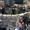 動物との距離が近い！