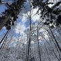 今シーズンも年末年始はラネージュ東館のコテージでした。