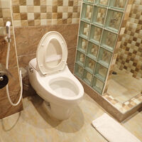 トイレは割ときれい。シャワーは仕切りなくお湯が外に