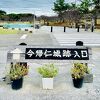 「今帰仁城跡」是非、直に見てもらいたい歴史的建造物！