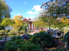 オクシデンタル パンプローナ 写真