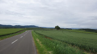 雄大な大自然を満喫