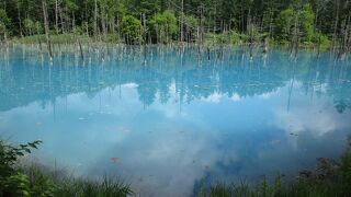 偶然できた水たまり