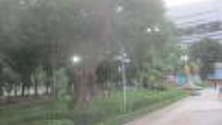 ベンチャシリ公園