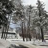 今年は豪雪地帯