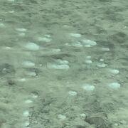 温泉湧いてるのが見える