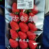イチゴのシーズンはぜひ