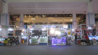 寂しくなっていました