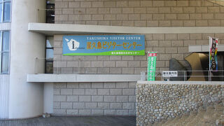 屋久島環境文化村センター