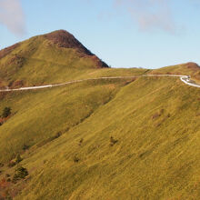 TV CMはヘリかドローンでしょう。下からだとこんな風景です