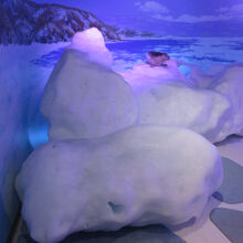 オホーツク流氷館