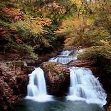 近場のみの観光となる