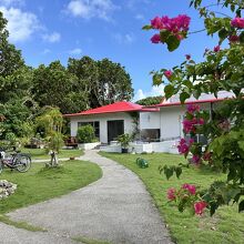 みどり豊かな宿です