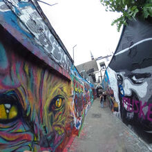 迫力のある目が挑んでいた