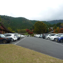 曽爾高原ファームガーデン