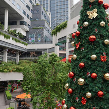 樹木が植えられた中庭