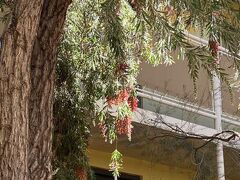 エミュウォークアパートメント 写真