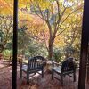 紅葉の時期にいくと天国！紅葉好きにはたまらない宿。ご飯も温泉も〇！