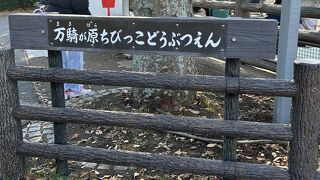 万騎が原ちびっこ動物園
