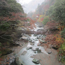 祖谷のかずら橋