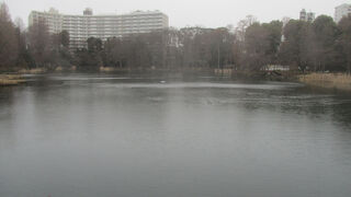 井の頭恩賜公園
