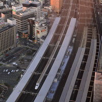 ウナギのように新幹線が入線する様子が見える