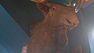 バイ ザ ウェイ