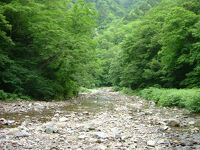 世界遺産の径ブナ林散策道