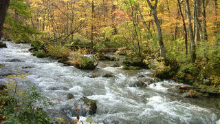 14kmにわたる奥入瀬川に沿った道