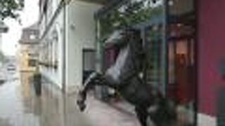 ホテル ラッペン ローテンブルク オプ デア タウバー