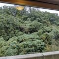 窓の先は山の斜面かも